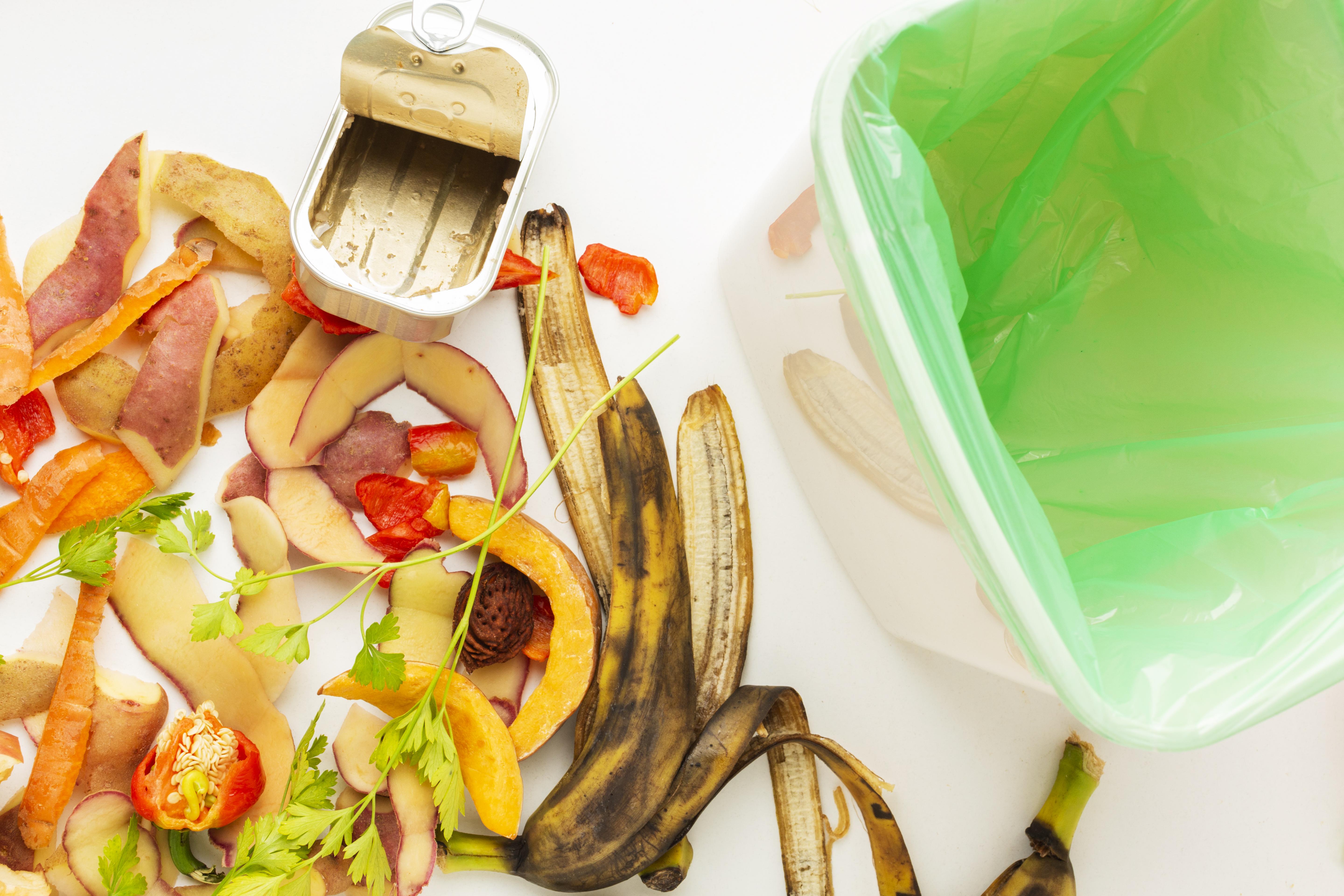 Food Wastage Control